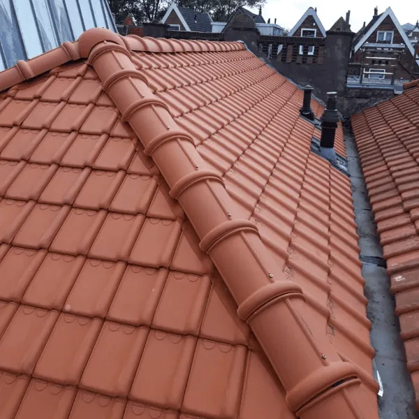 Van Griensven Dakonderhoud Pannendak na onze service