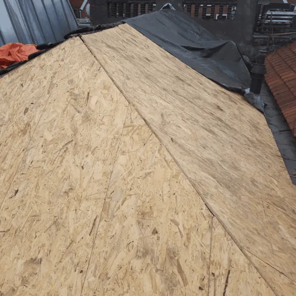 Van Griensven Dakonderhoud Pannendak voor onze service